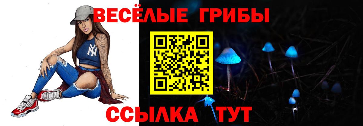Ярцево  Псилоцибиновые грибы Magic Shrooms  наркошоп  Вход с VPN 